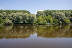 Тиша