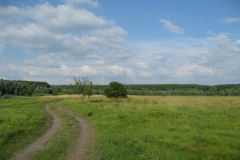 Дорога