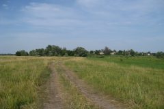 Дорога
