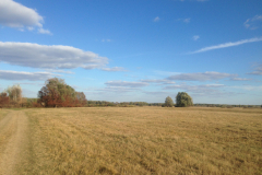 Осіння дорога