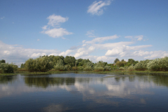 Розлив